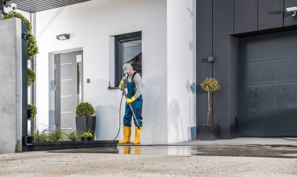 Best Gutter Cleaning  in Ripley, WV